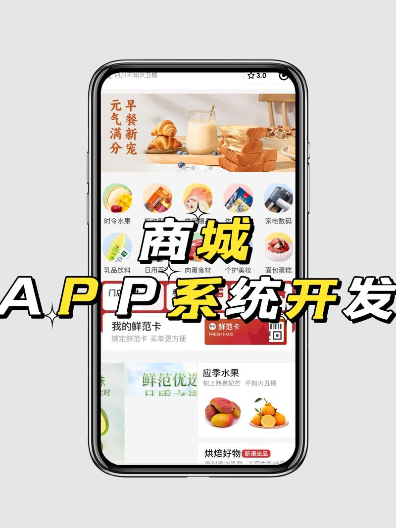 商城系统定制:引领电子商务新潮流
